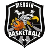 梅尔辛女篮 队徽